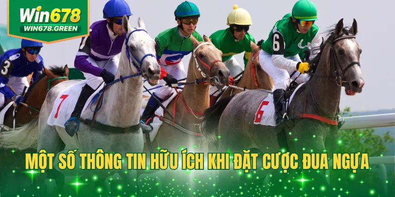 Một số thông tin hữu ích khi đặt cược đua ngựa