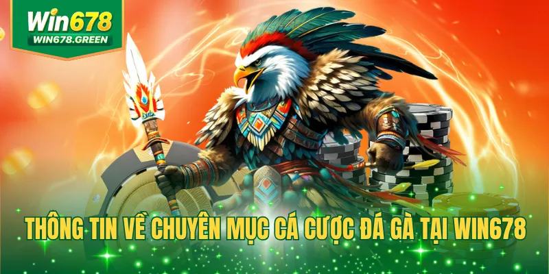 Thông tin về chuyên mục cá cược đá gà tại WIN678